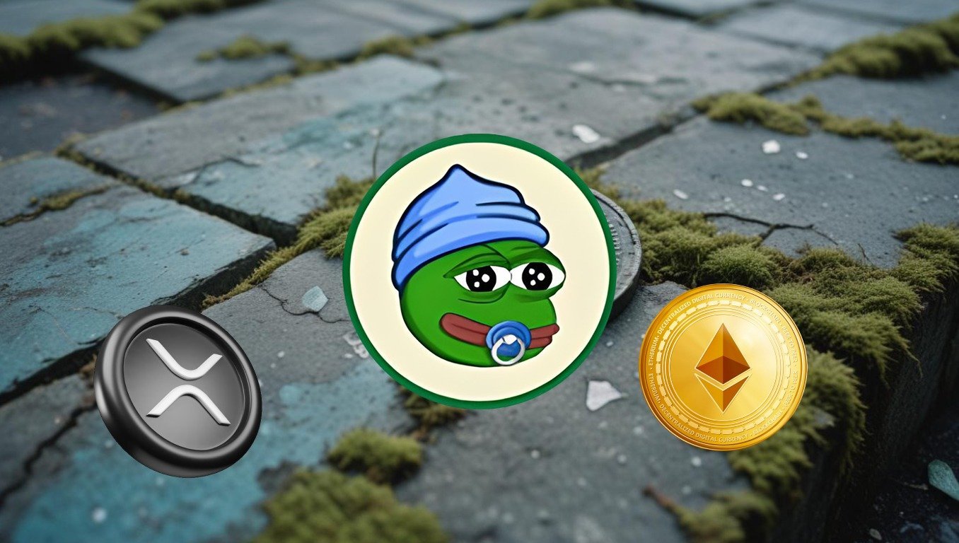 The 5 Top Cryptos to Invest in Today as Bears Dominate the Market