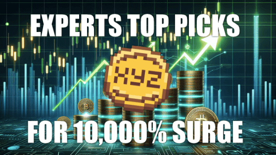 XRP Whales Accumulate These Top 10 Tokens