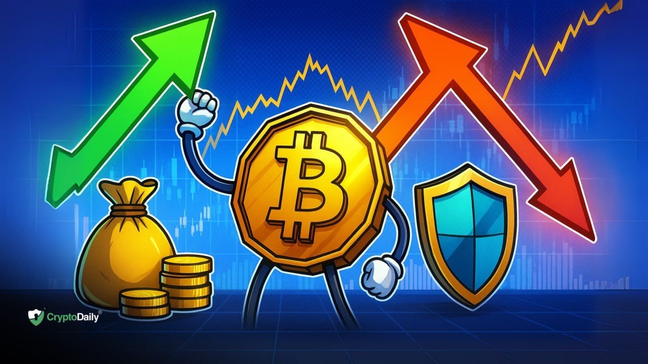 Maximize Your Crypto Investments, Harness Trends, and Control Risks