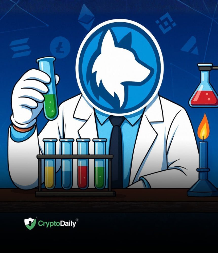 Husky Inu (HINU) Reaches $0.00023567 As Bitcoin (BTC) Reclaims $92,000