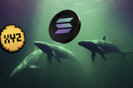 September Market Explosion Alert: Crypto Whales Abandon Solana for XYZVerse (XYZ) With 25,000% Gains Predicted!