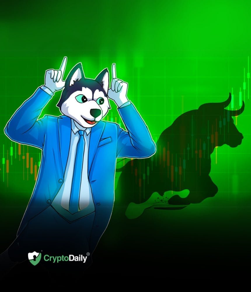 Husky Inu Set For Price Jump As Crypto Market Rallies