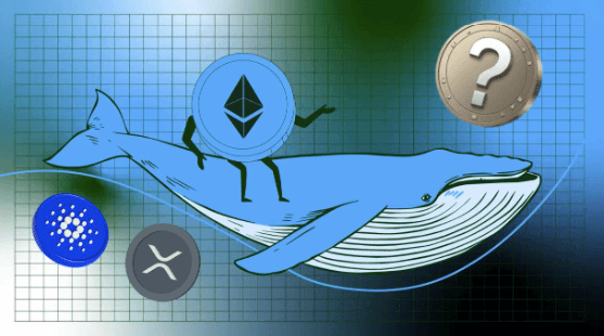 Ethereum Whales Next Moves? Hunting for Next Big Opportunity While Cardano & XRP Slips Lower