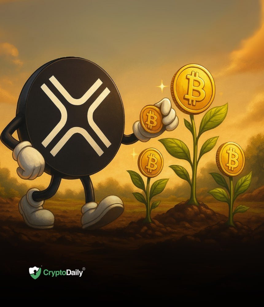 DigitalX Secures $13.5M to Expand Bitcoin Holdings; Bolster Strategic Leadership