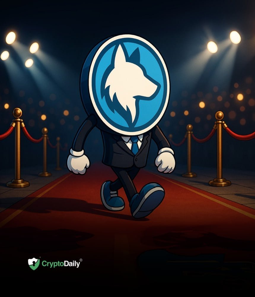 Husky Inu (HINU) Rises To $0.00020212 As Funding Gathers Pace