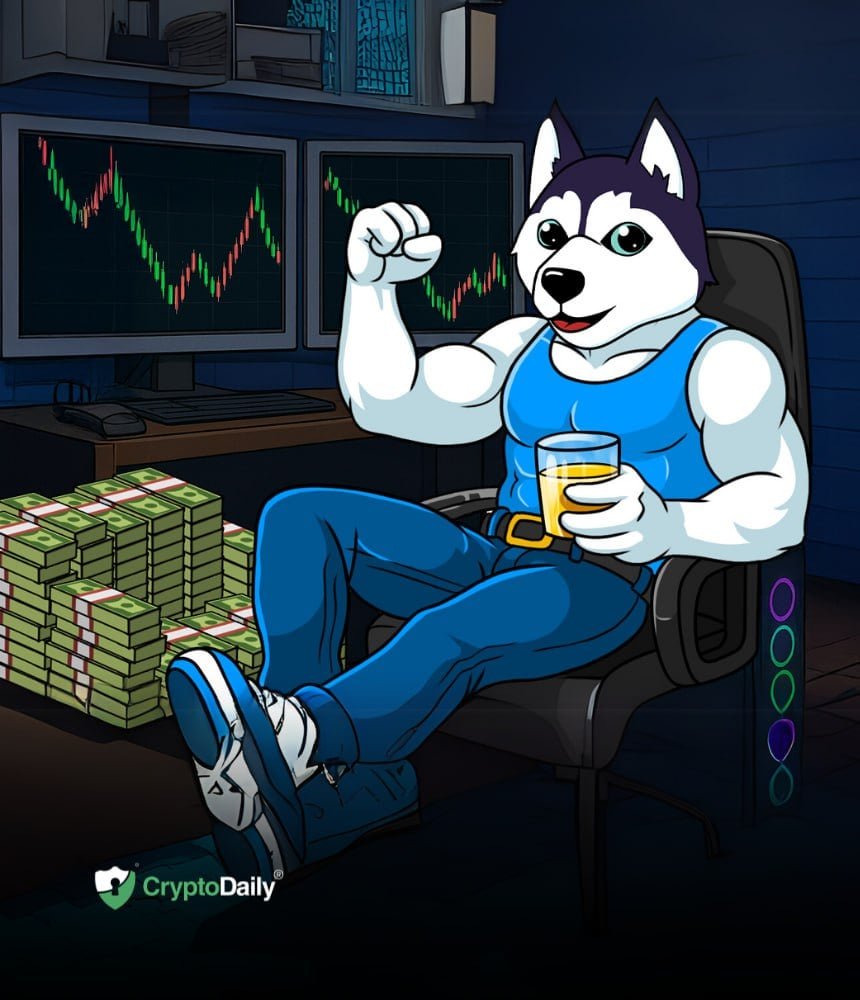 Husky Inu (HINU) Set For Price Jump As Markets Recover