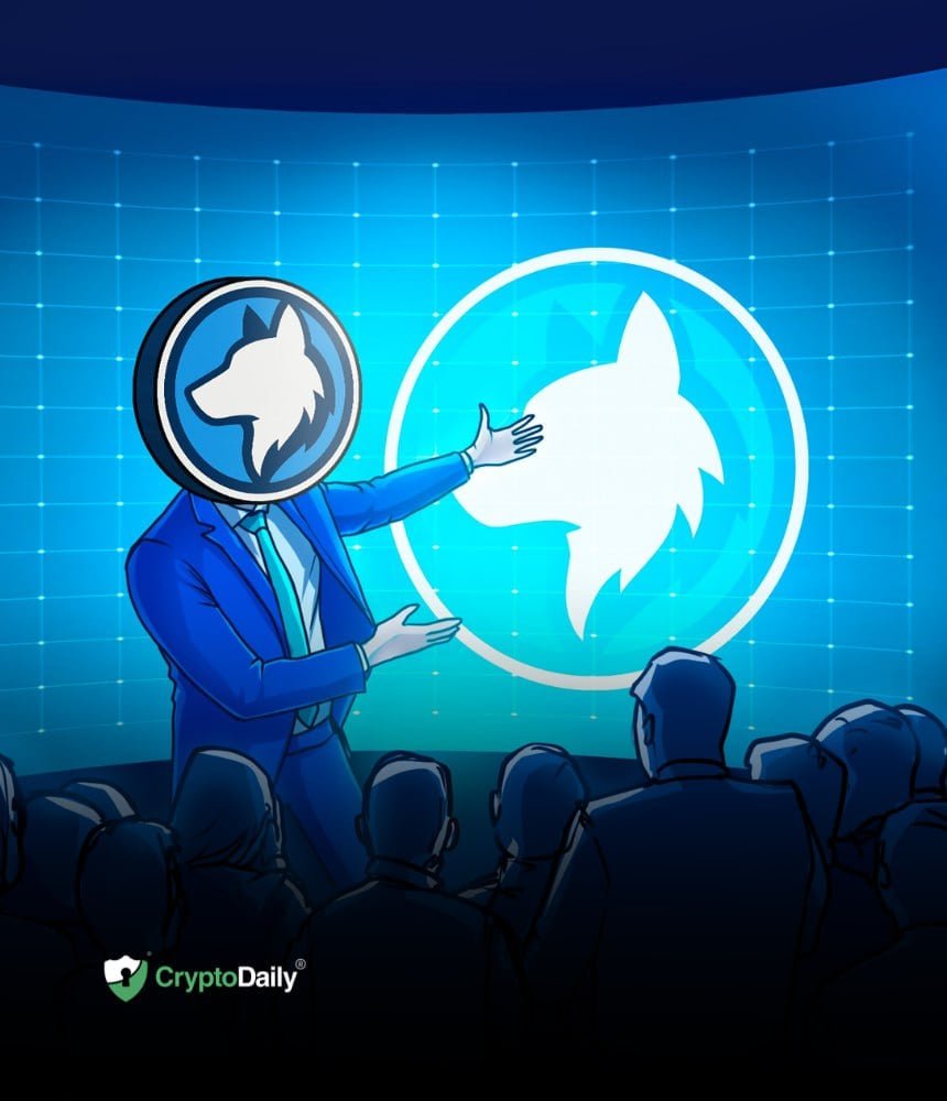 Husky Inu (HINU) Registers First Price Jump After SwapCrypto.com Launch