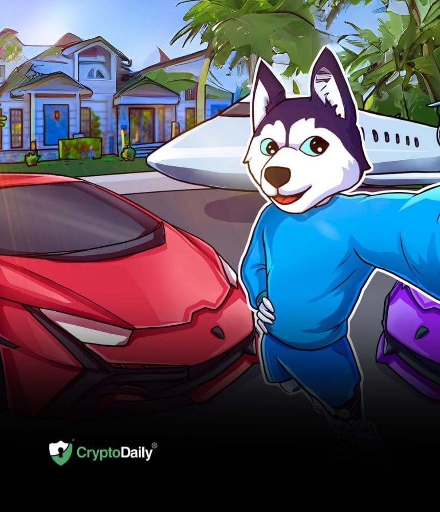 How To Purchase The Husky Inu (HINU) Token
