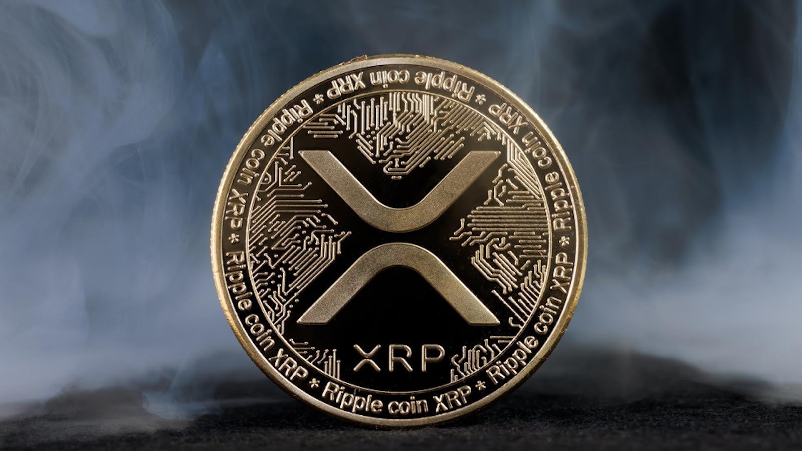 Why I Sold All My XRP To Go All In On Paydax (PDP) - Ripple Millionaire Reveals Big Gamble Expecting 35,000% Returns