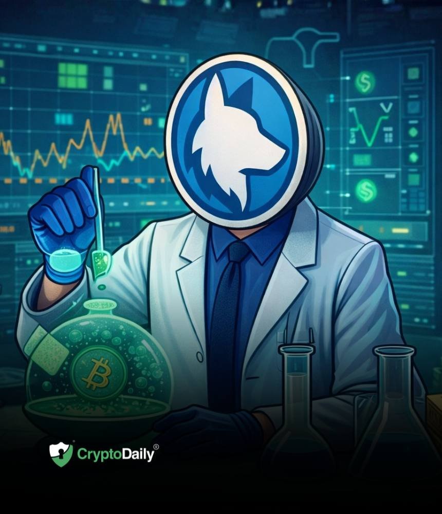 Husky Inu AI (HINU) Moves To $0.00024300 As Markets See Post-Christmas Recovery