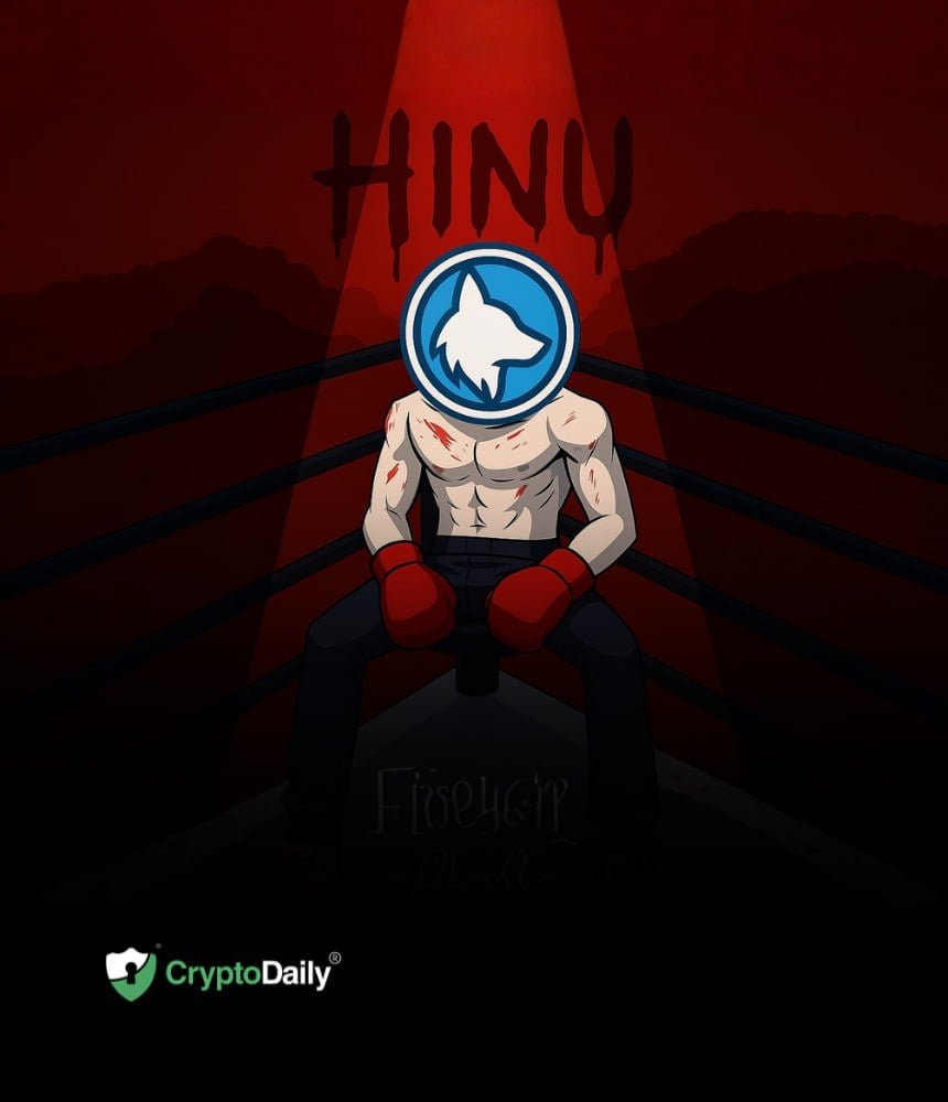 Husky Inu Rises To $0.00022856 As Markets Rebound