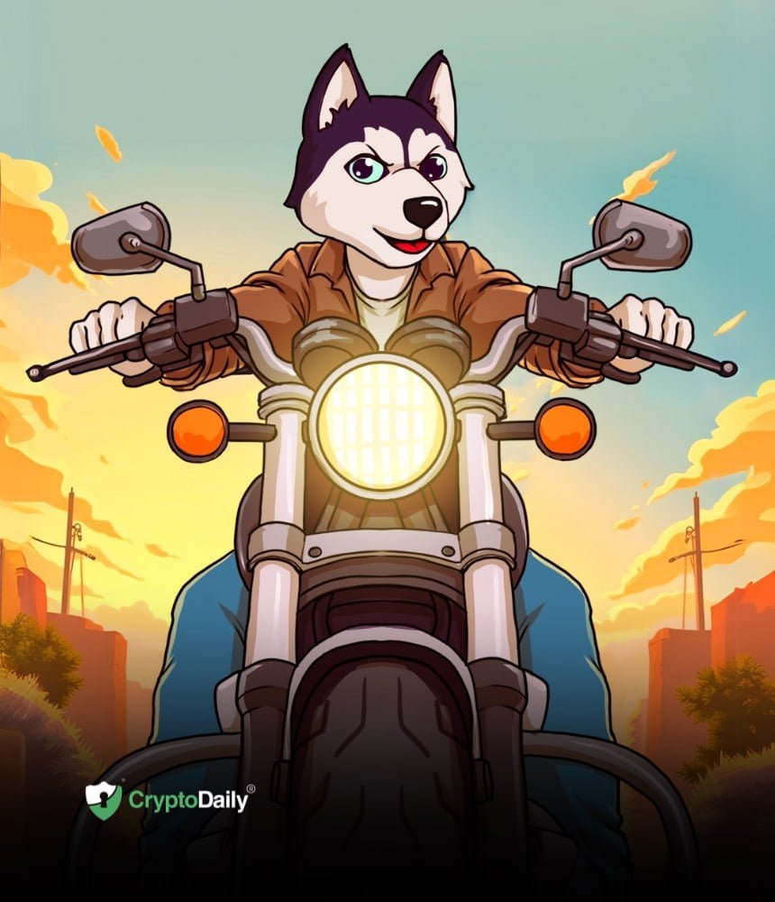 How Does The Husky Inu (HINU) Pre-Launch Phase Work?