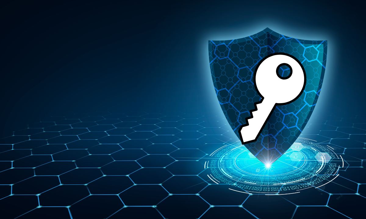 Why Privacy Is the Key to Achieving Blockchain Mass Adoption