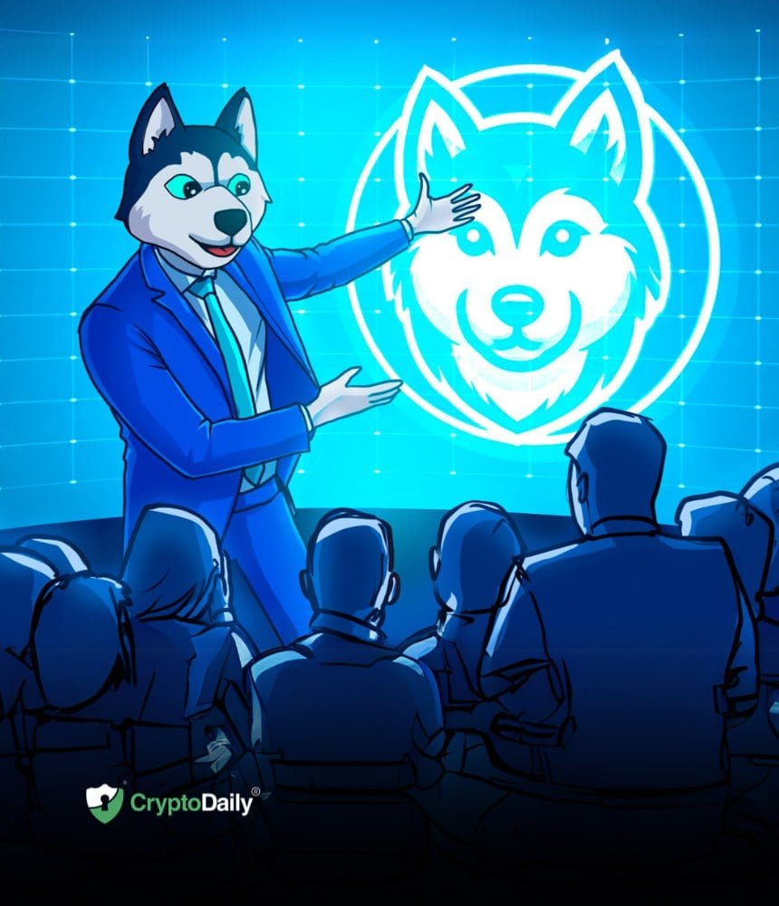 Husky Inu Roadmap: What Lies Ahead For The Fledgling Meme Coin Project