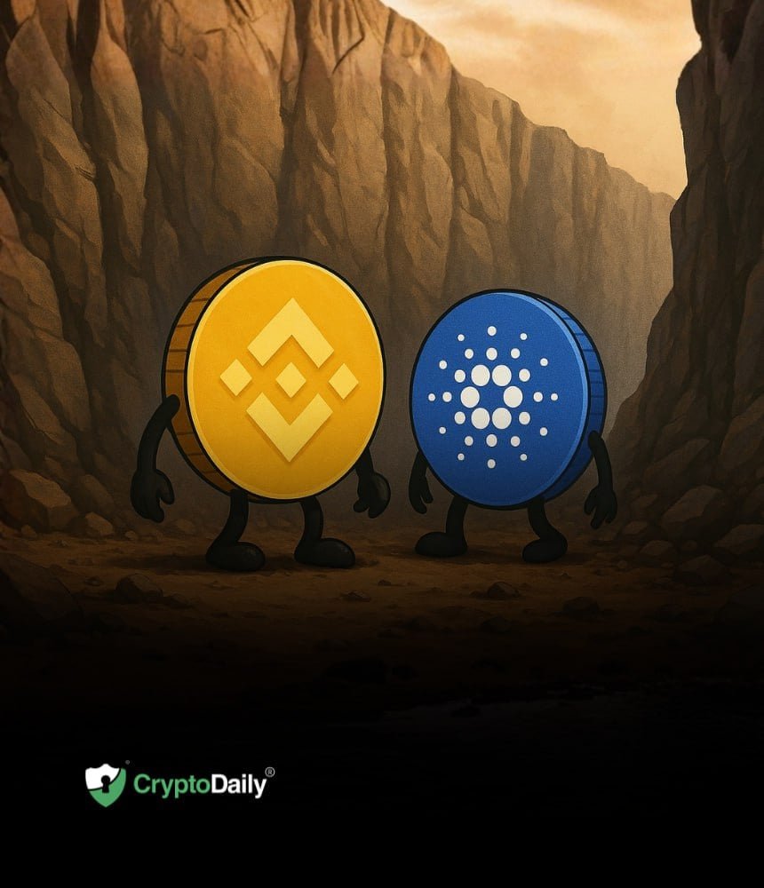 Binance Coin (BNB) & Cardano (ADA): Have They Finally Hit Bottom? Price Analysis