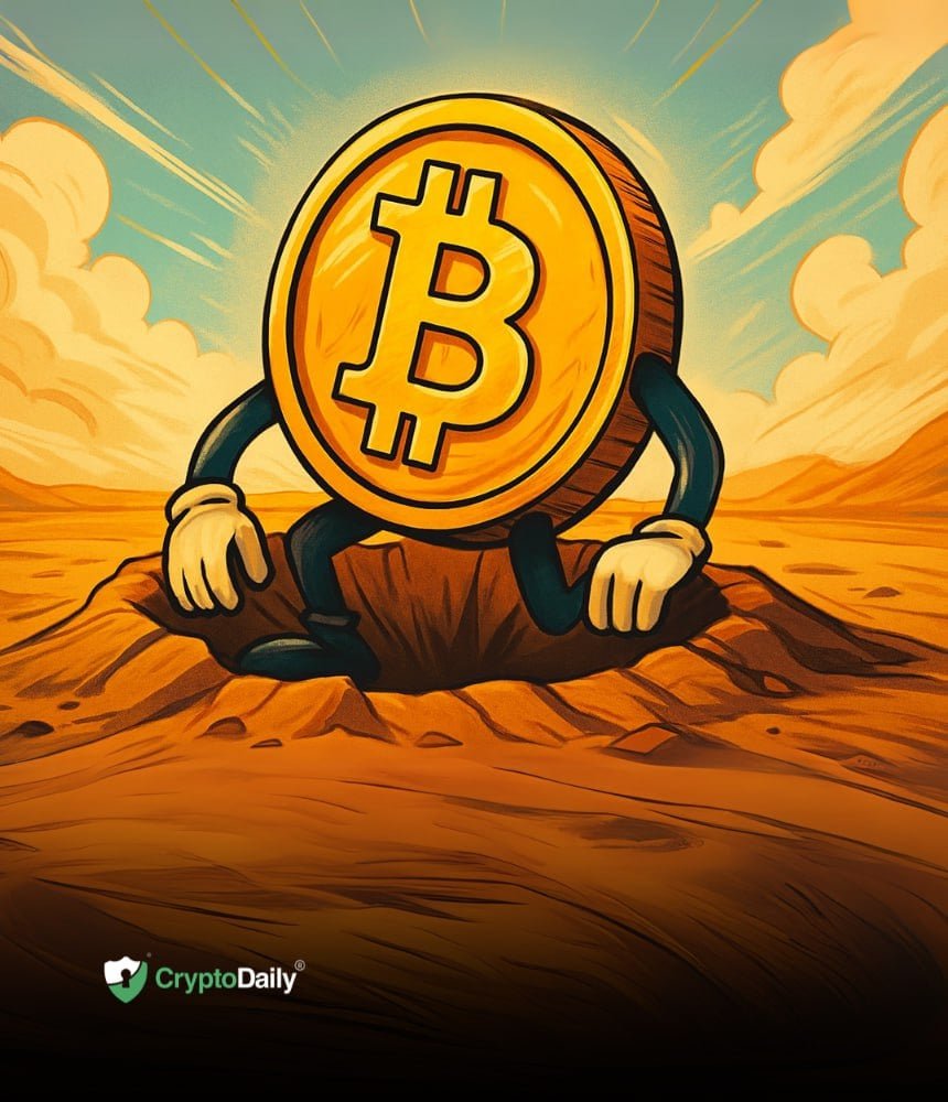 Is Bitcoin (BTC) Forming a Bottom? Price Analysis and Insights