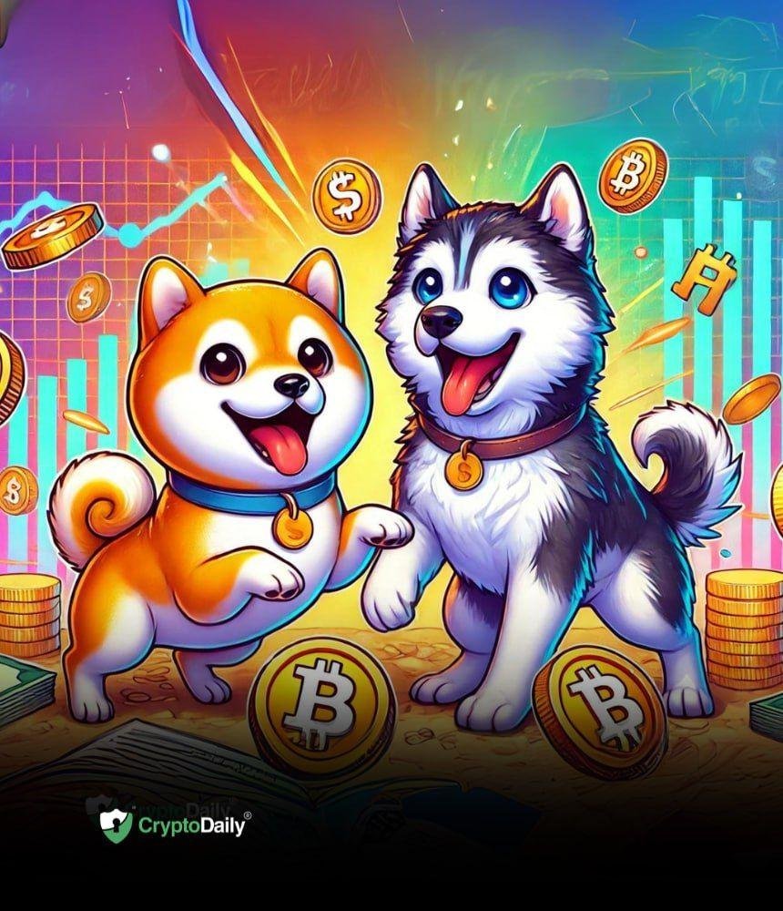 Shiba Inu’s ($SHIB) New Best Friend: Husky Inu ($HINU)