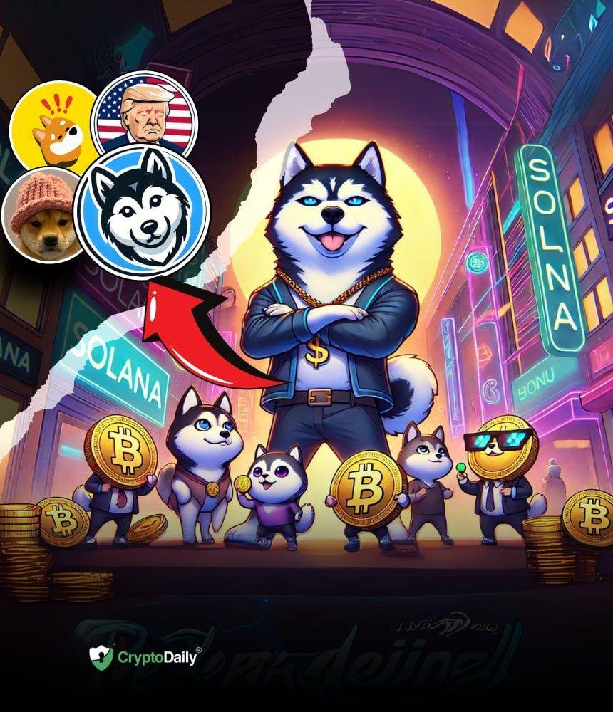 Solana’s Superstar Memecoins: $HINU, $WIF, $BONK, and $MAGA