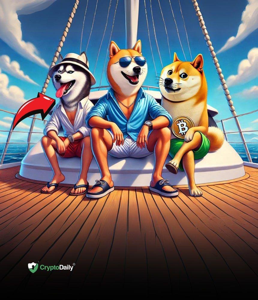 Why Husky Inu ($HINU) is the Next Big Thing in the Crypto World