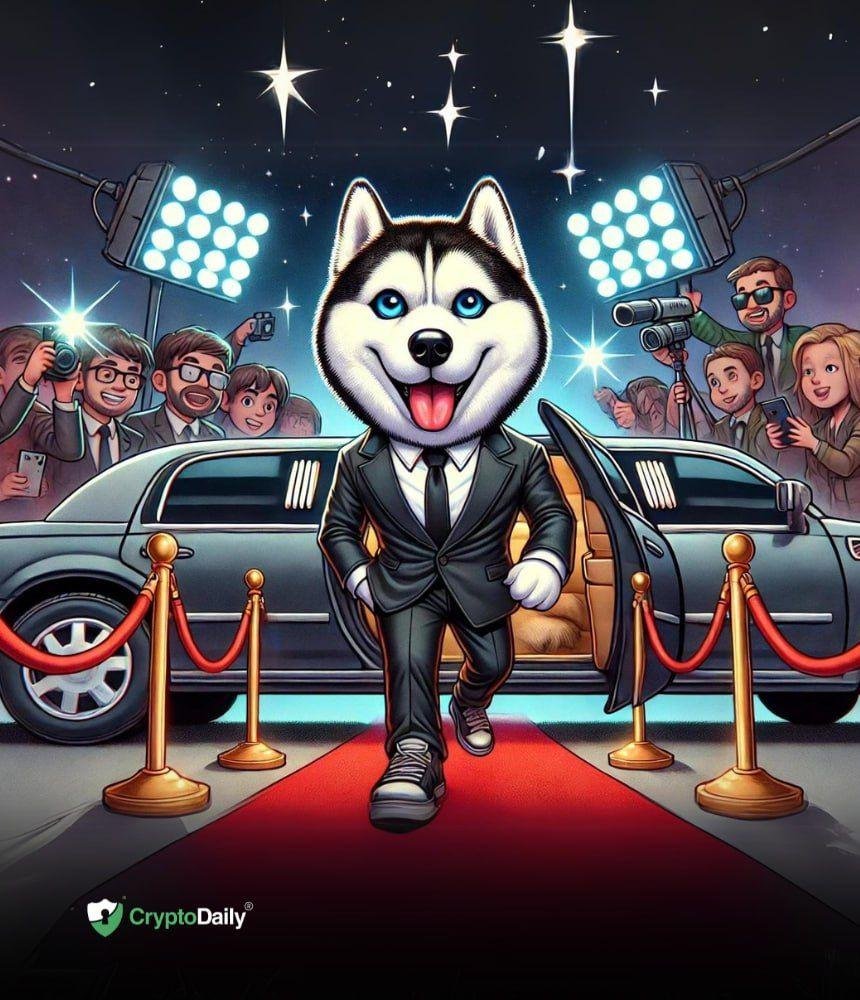 All Eyes on Husky Inu’s ($HINU) Presale