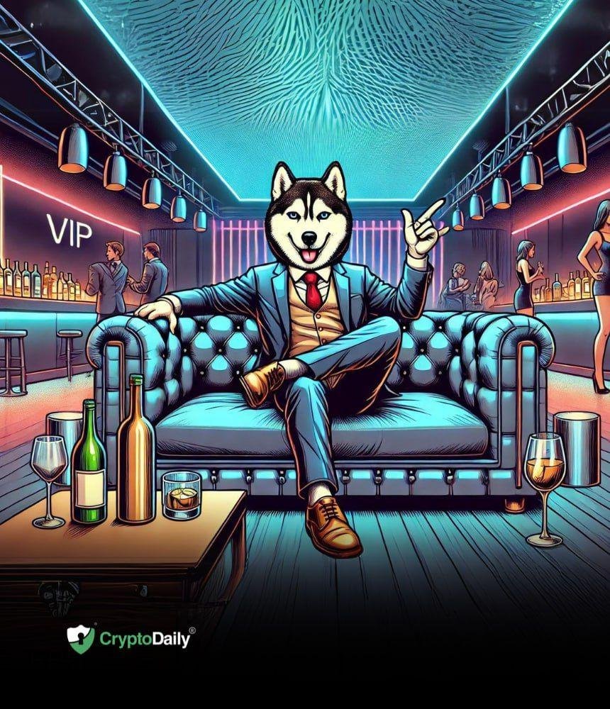 Shop the Husky Inu ($HINU) Presale Now!