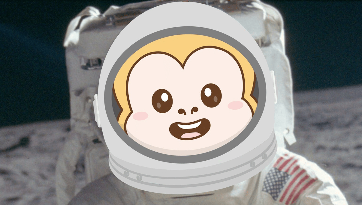 MoonBag ($MBAG) Price Prediction - MBAG ICO Raises $3 Million, Next Big Crypto?